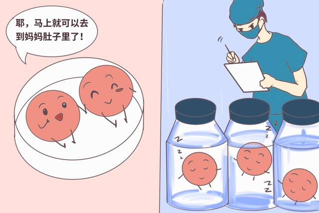 哪些胚胎可用于移植？了解下！